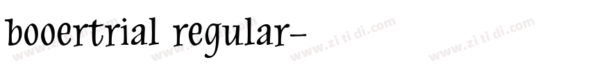 booertrial regular字体转换